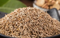 孜然包裝機(jī)，給您最好的享受